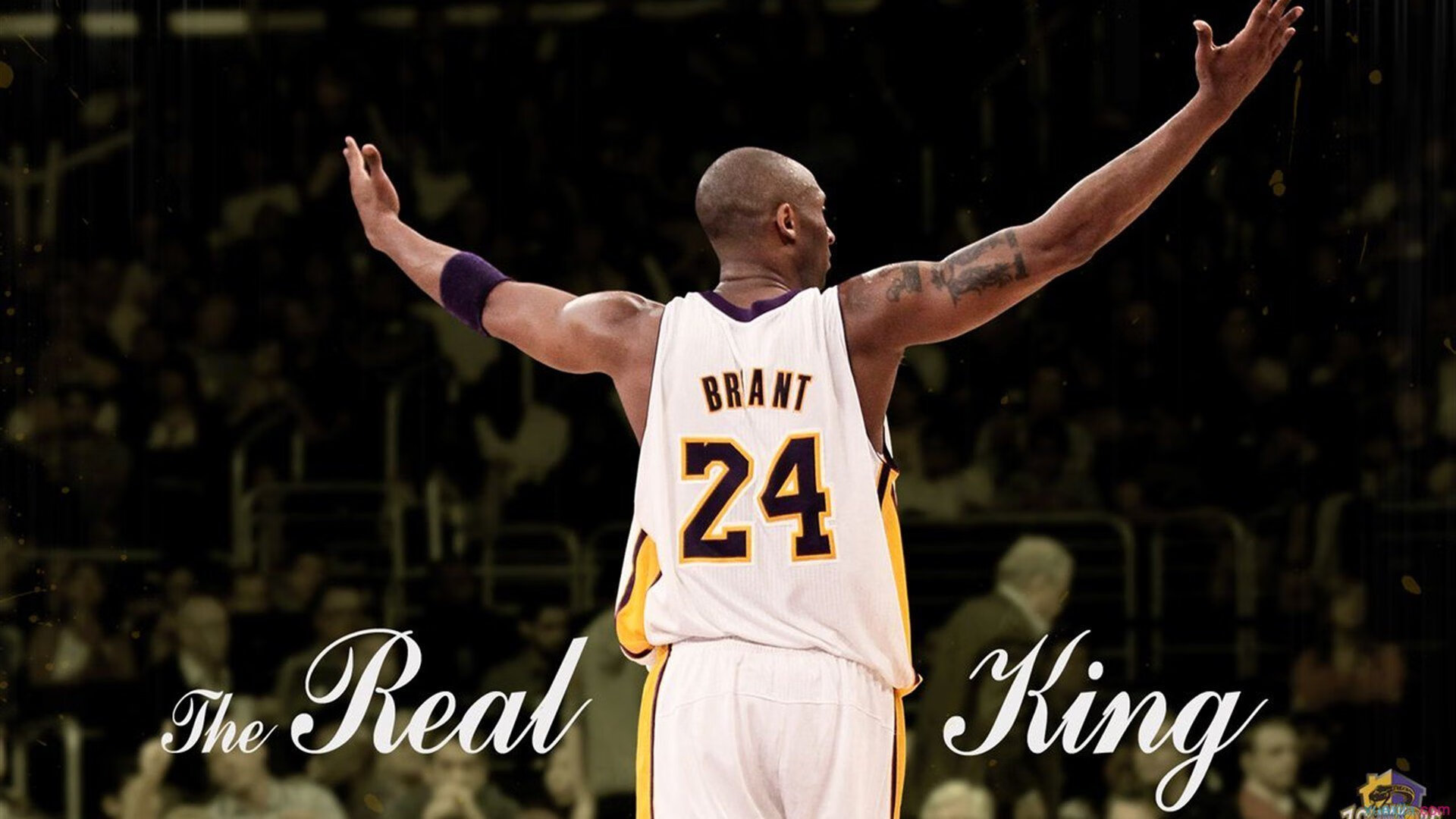 灰熊全面压制浙江队，米切尔用实力证明自己，当篮球成为一场无声的战争